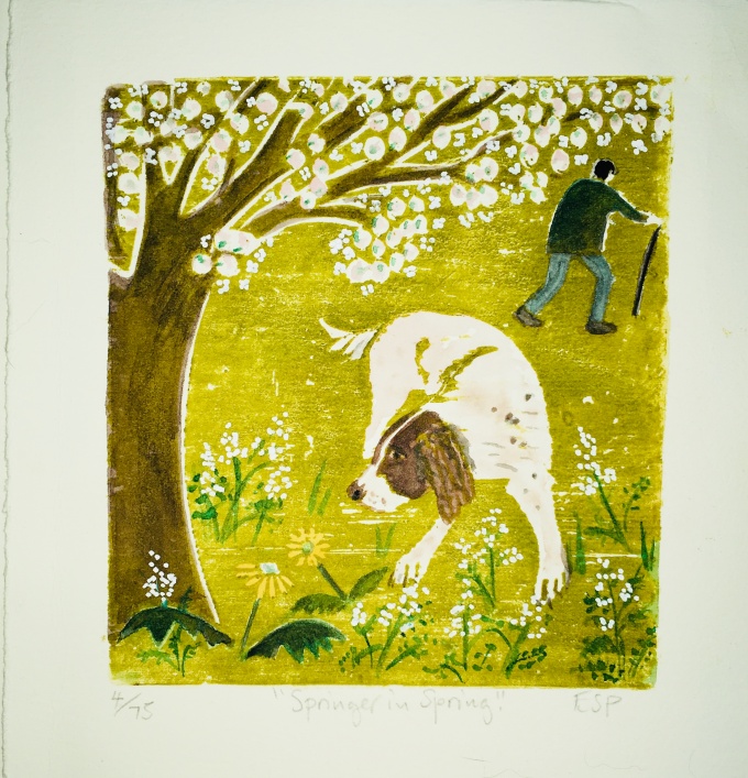 Spinger in spring - 5.5" x 5" (£50 unframed £100 framed)